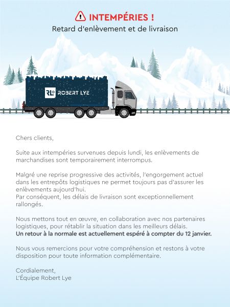 Intemp&Atilde;&copy;ries - Neige janvier 2026