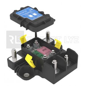 Boîte de protection électrique principal étanche + distribution de puissance - Pour 2 fusibles MEGA 48V